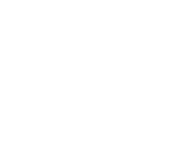 Nidi